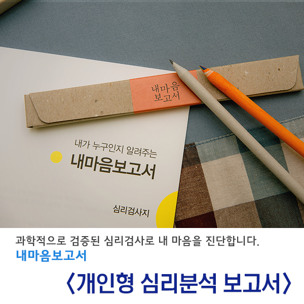 개인형 심리분석 보고서